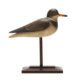Mark McNair (VA, b. 1950), Semi Palmated Plover