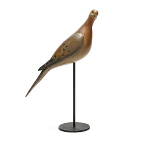 William "Bill" Gibian, (VA, b. 1946), Turned Head Dove