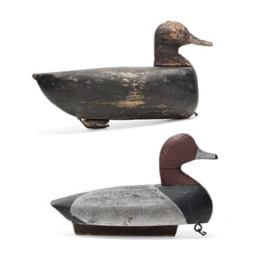 Two Early Currituck Redheads