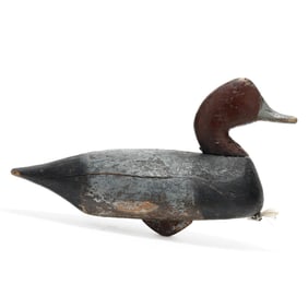 Oscar Carroll (VA, 1868-1946), Redhead