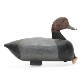 Early Currituck Redhead from Beans Weatherly Rig