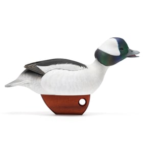 Gary Hinson (NC), Competition Bufflehead