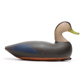 Nick Browning Black Duck