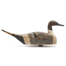 John Winter (CA), Pintail