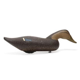 Byron Bodt (MD), Swimming Black Duck