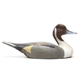 William Veasey (MD, 1932-2022), Pintail