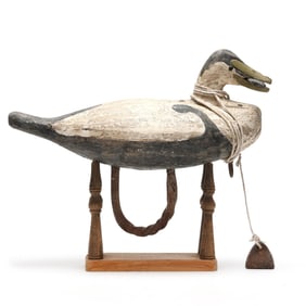 Vernon Bryant (MD,       ), Eider in the manner of Gus Wilson