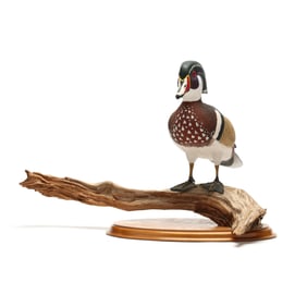 George Monte Standing Wood Duck