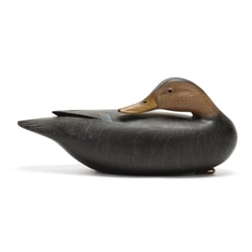 Clarence Fennimore (NJ, b. 1935), Sleeping Black Duck
