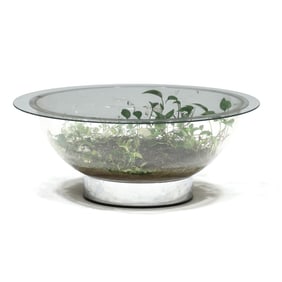 Vintage Terrarium Cocktail Table