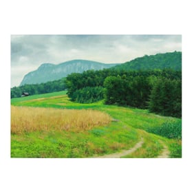 Ben Berns (NC, 1926-2007), Moore's Knob