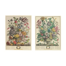 Henry Fletcher (English, fl. 1710-1750), Pair of Botanical Engravings from Twelve Months of Flowers