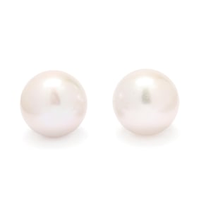 South Sea Pearl Stud Earrings