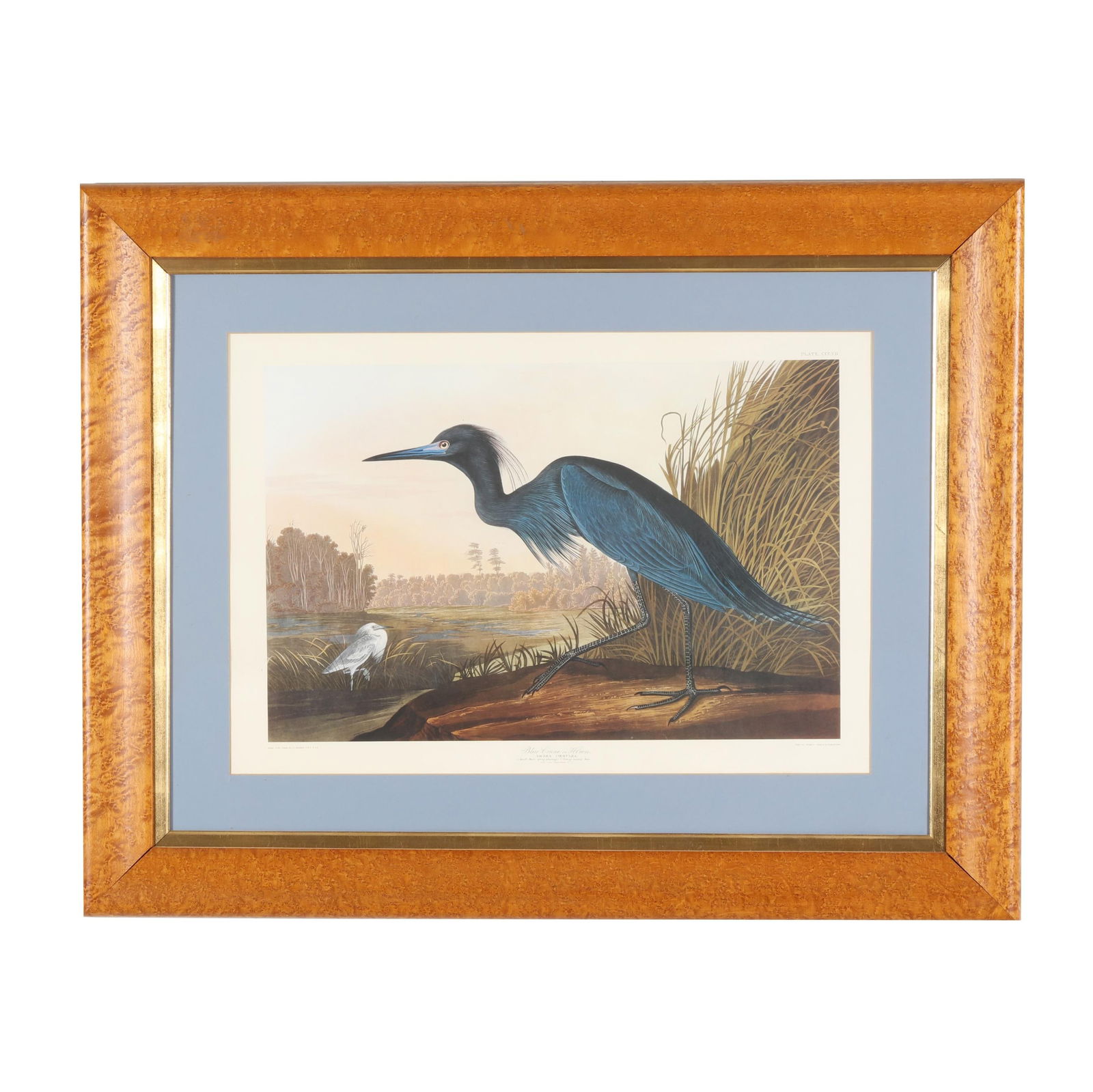 After John James Audubon (American, 1785–1851), Blue Crane or Heron (1 of 8)