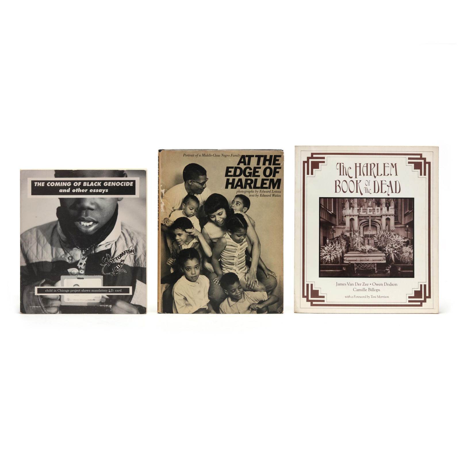 An Extremely Scarce Book of Essays and Two Harlem Photography Books (1 of 9)