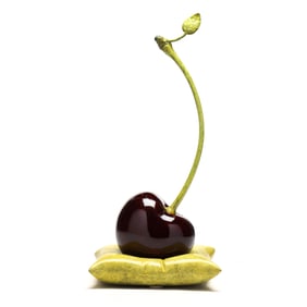 Randi Grantham (American, b.1964), Bronze Cherry on Pillow