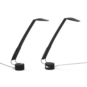 Mario Barbaglia & Marco Colombo, Pair of  Dove  Lamps