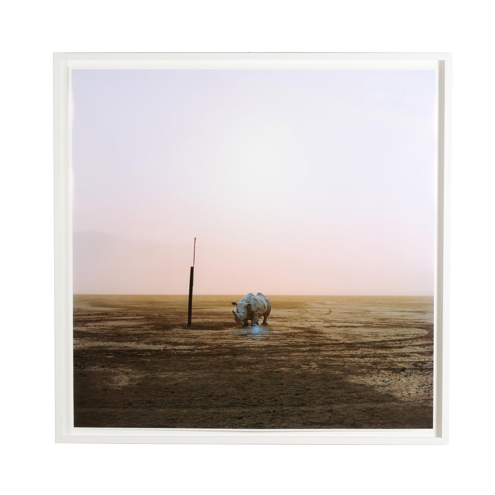 Oswaldo Ruiz (Mexican, b. 1977), Laguna seca, Jalisco (Dry Lagoon, Jalisco), from Welcome to (1 of 4)