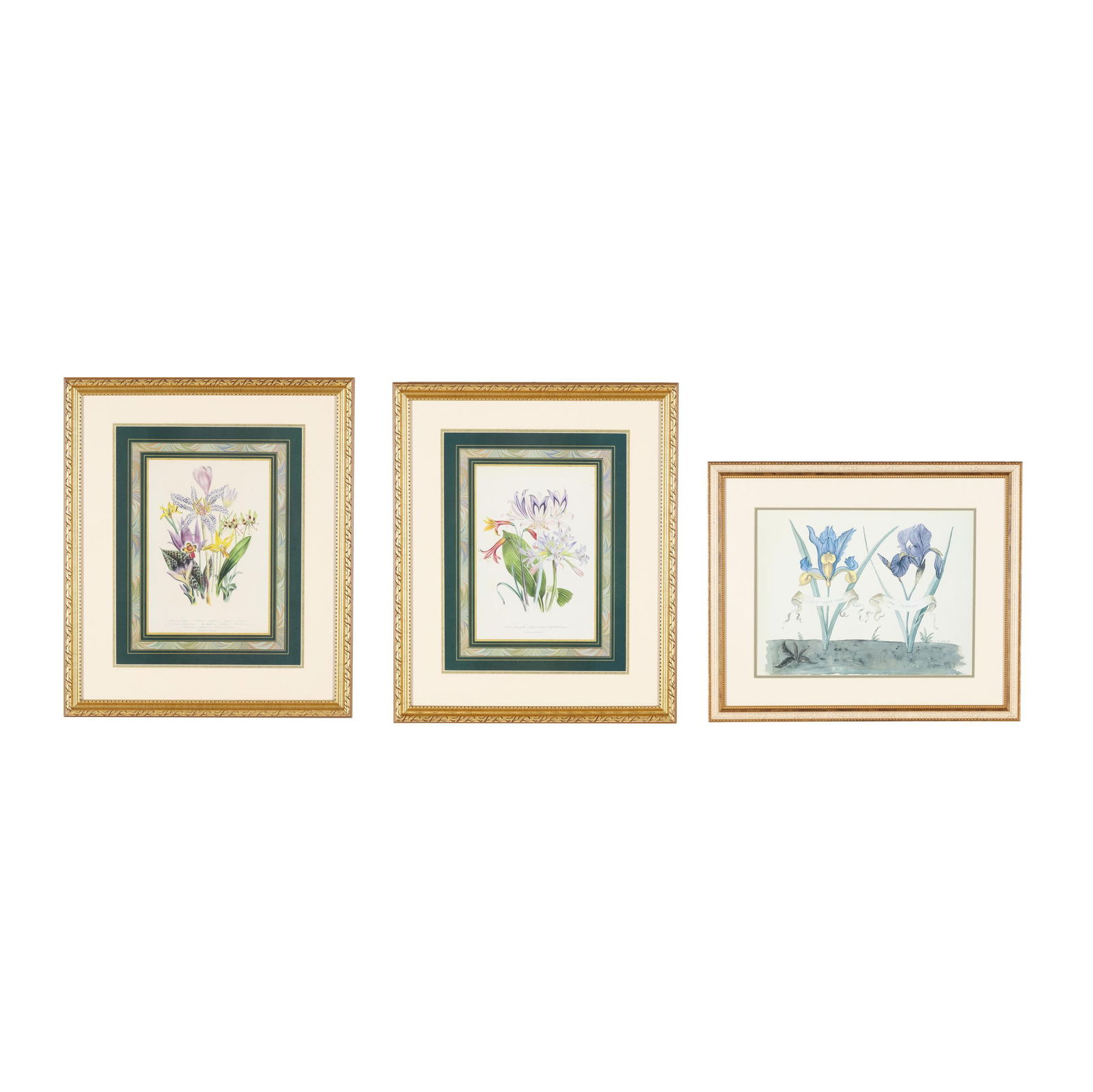 Three Framed Botanical Prints (1 of 11)