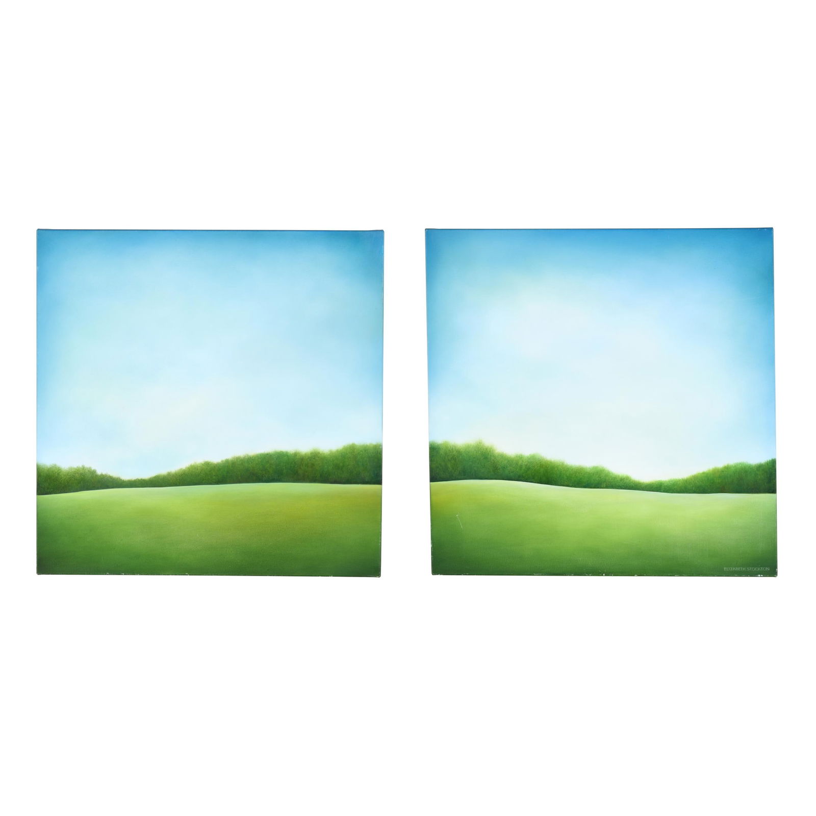 Elizabeth Stockton (American), Landscape Diptych: Elizabeth Stockton (American), Landscape Diptycheach an acrylic on canvas, one signed at lower right and labeled, gallery-wrapped canvases. Each 36 x 36 in. Elizabeth Stockton is an American contempor