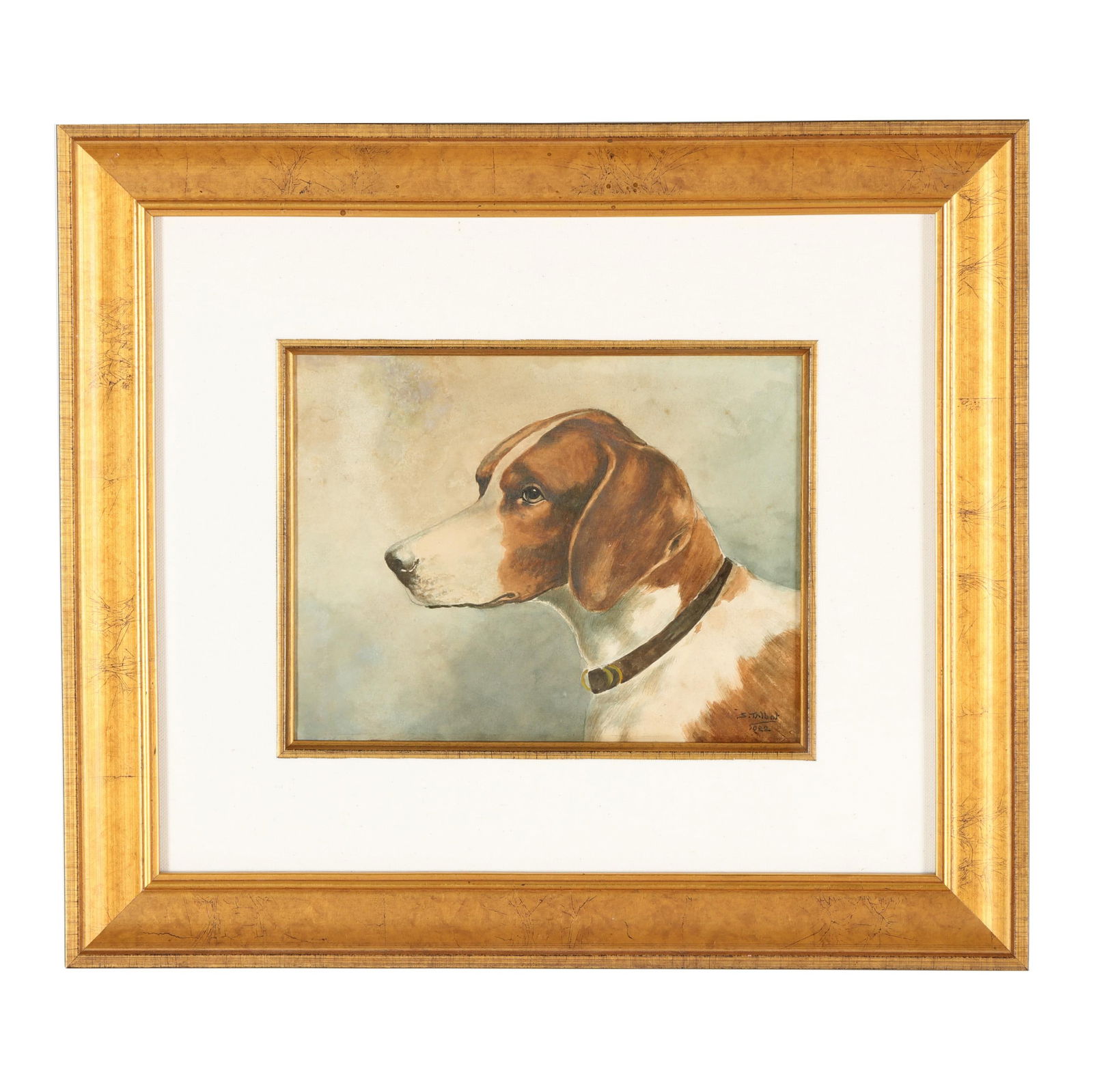 American School (Early 20th Century), Portrait of a Hound (1 of 6)