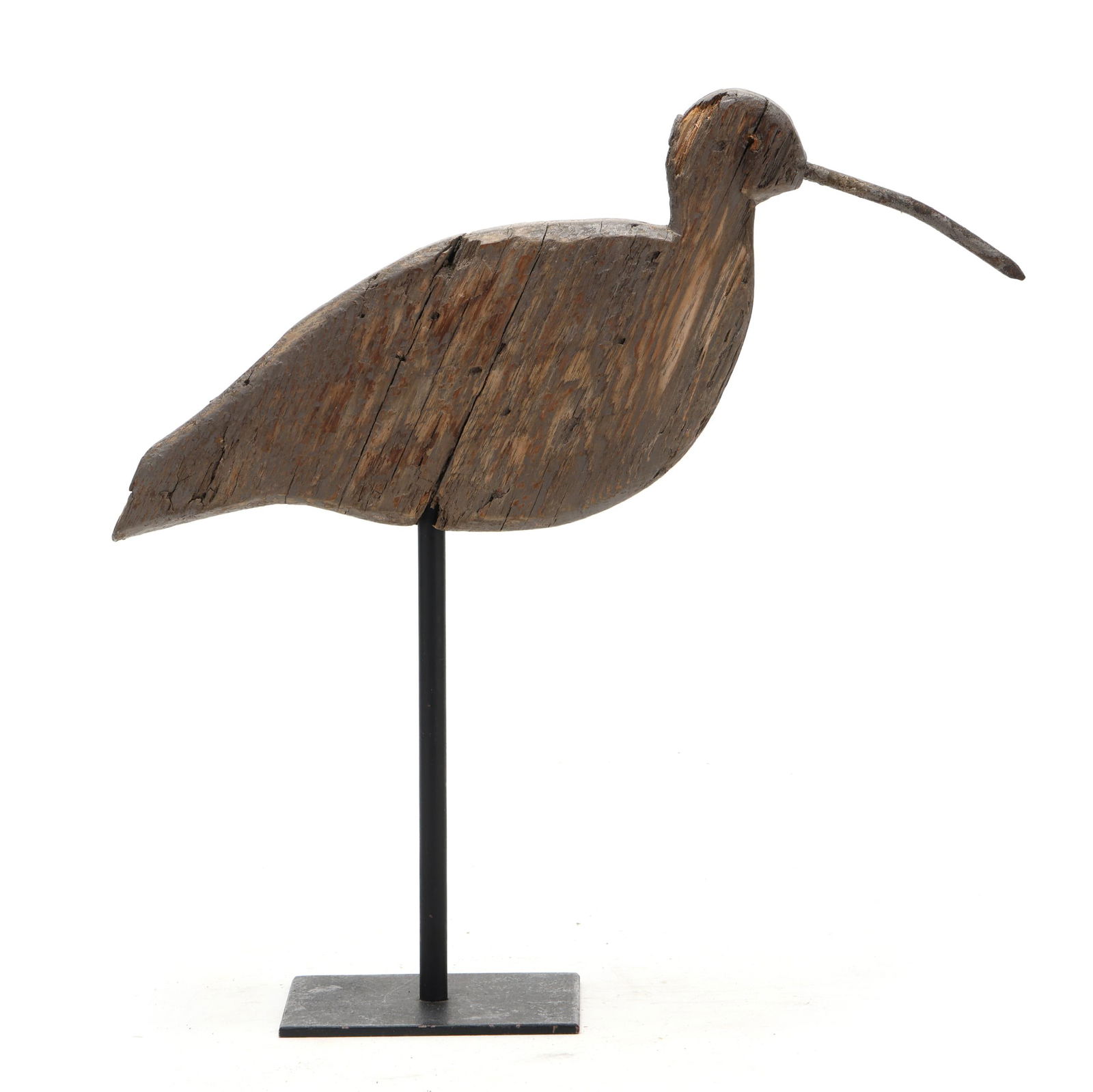 Early Carteret County Curlew (1 of 7)