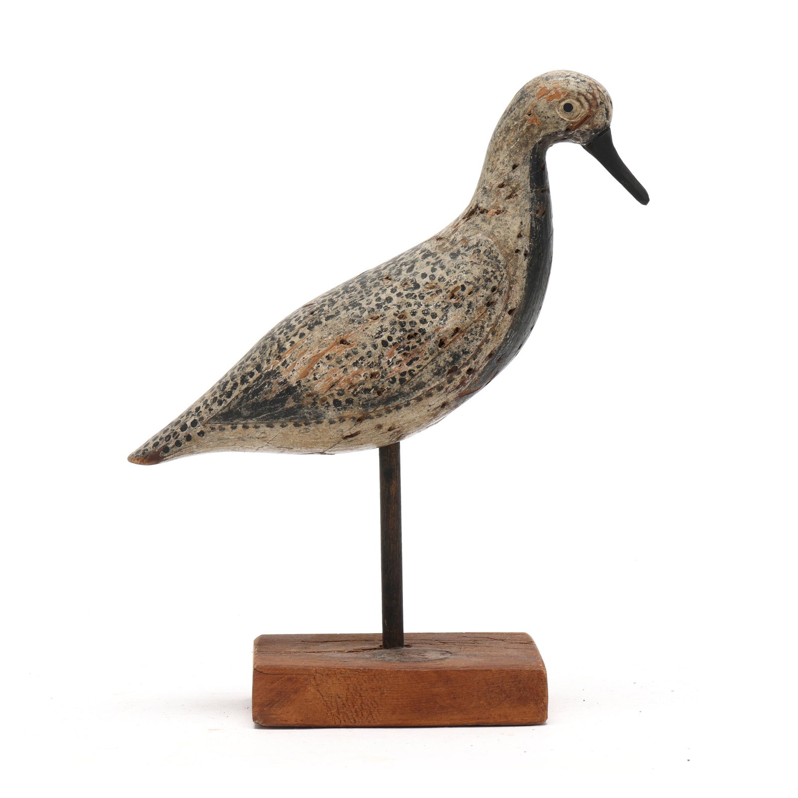 Early Long Island Black Bellied Plover (1 of 9)