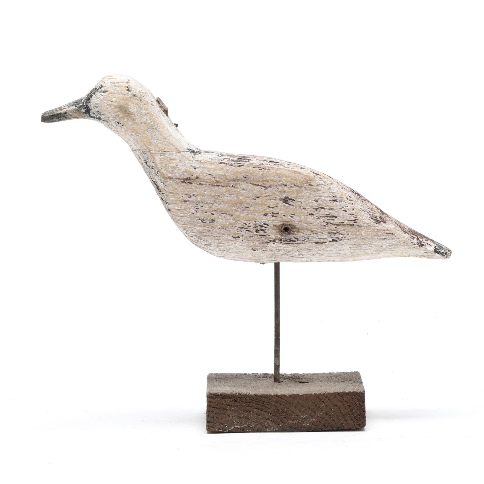 Early Ocracoke Dowitcher - 2