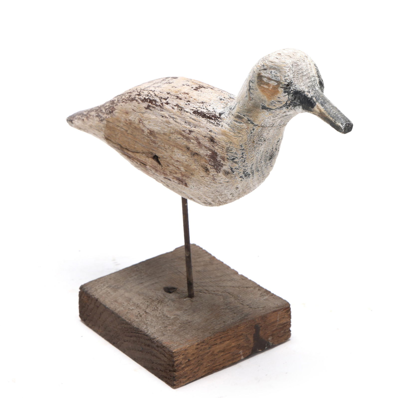 Early Ocracoke Dowitcher - 3