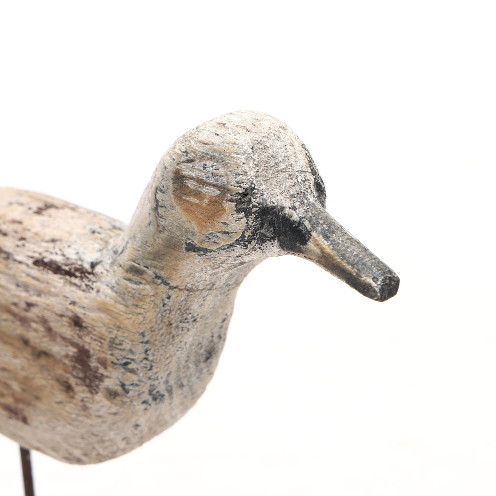 Early Ocracoke Dowitcher - 4