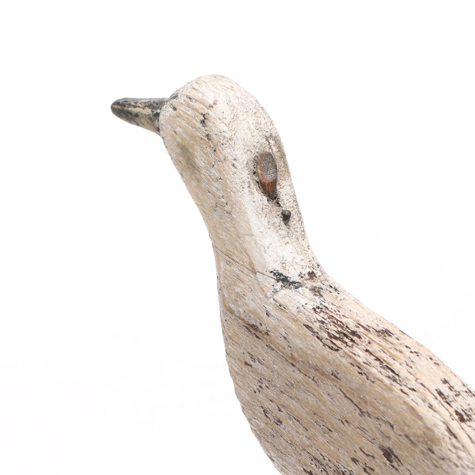 Early Ocracoke Dowitcher - 5