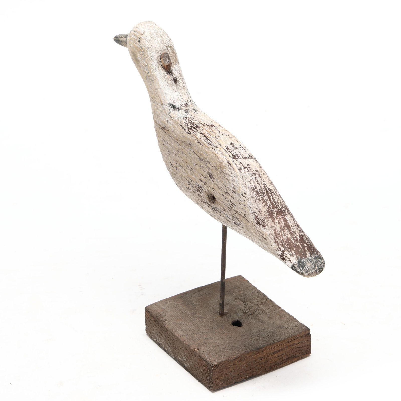 Early Ocracoke Dowitcher - 6