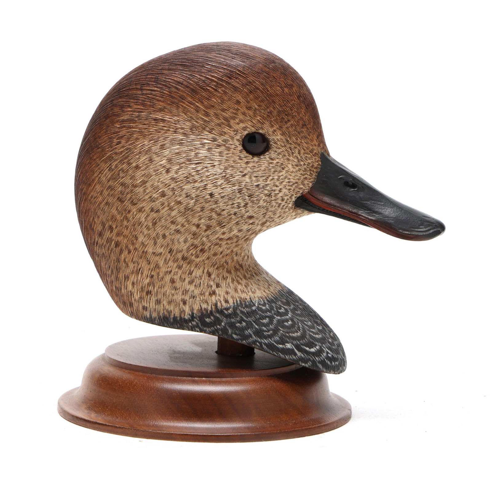 Jack Cox (NC, b. 1950), Stunning Carved Gadwall Head: Jack Cox (NC, b. 1950), Stunning Carved Gadwall Head Elizabeth City, North Carolina, circa 1985, carved and painted wood, glass eyes, mounted to wood stand, signed and dated, Height 5 in. A