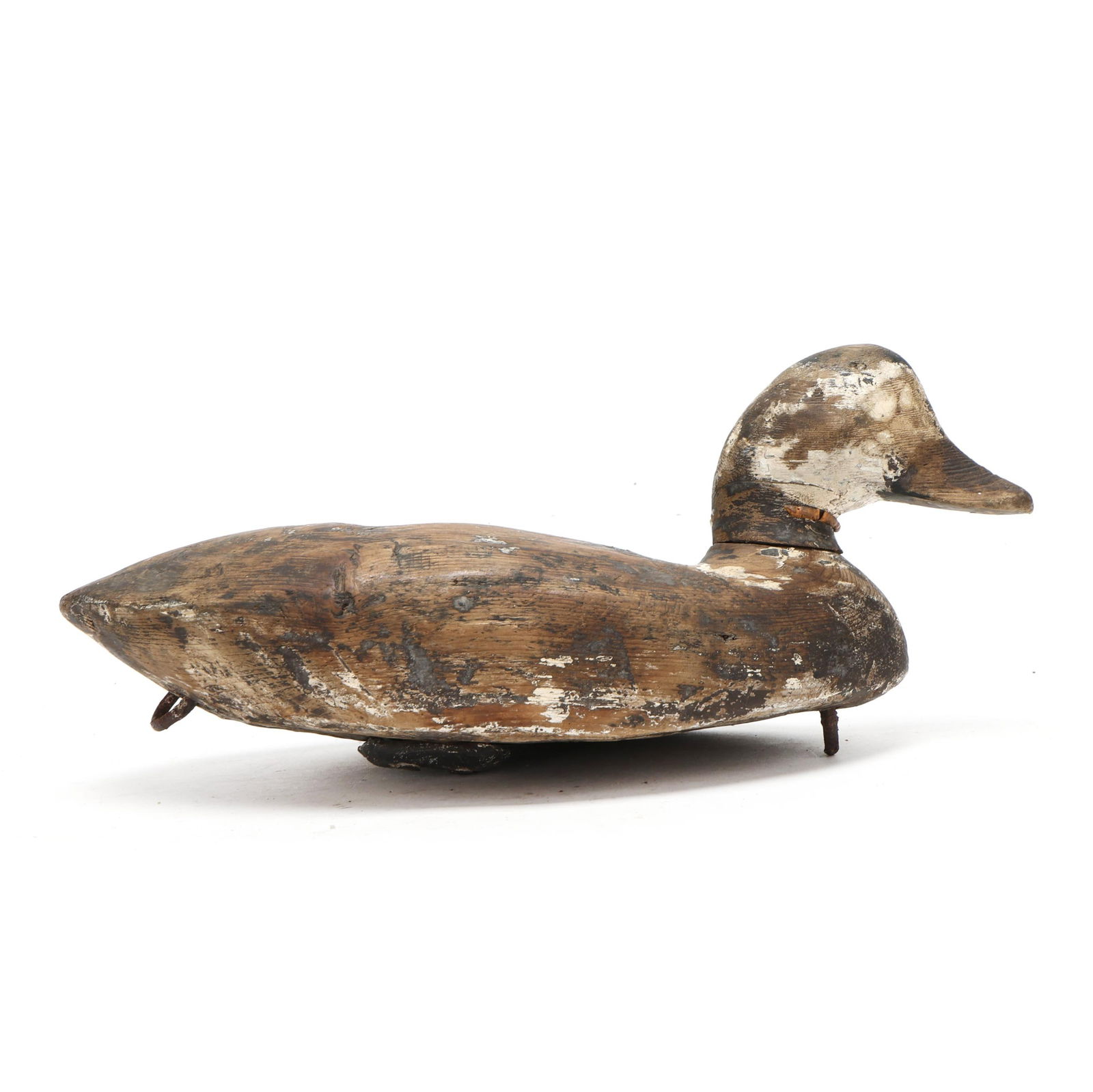 Early Back Bay Ruddy Duck (1 of 7)