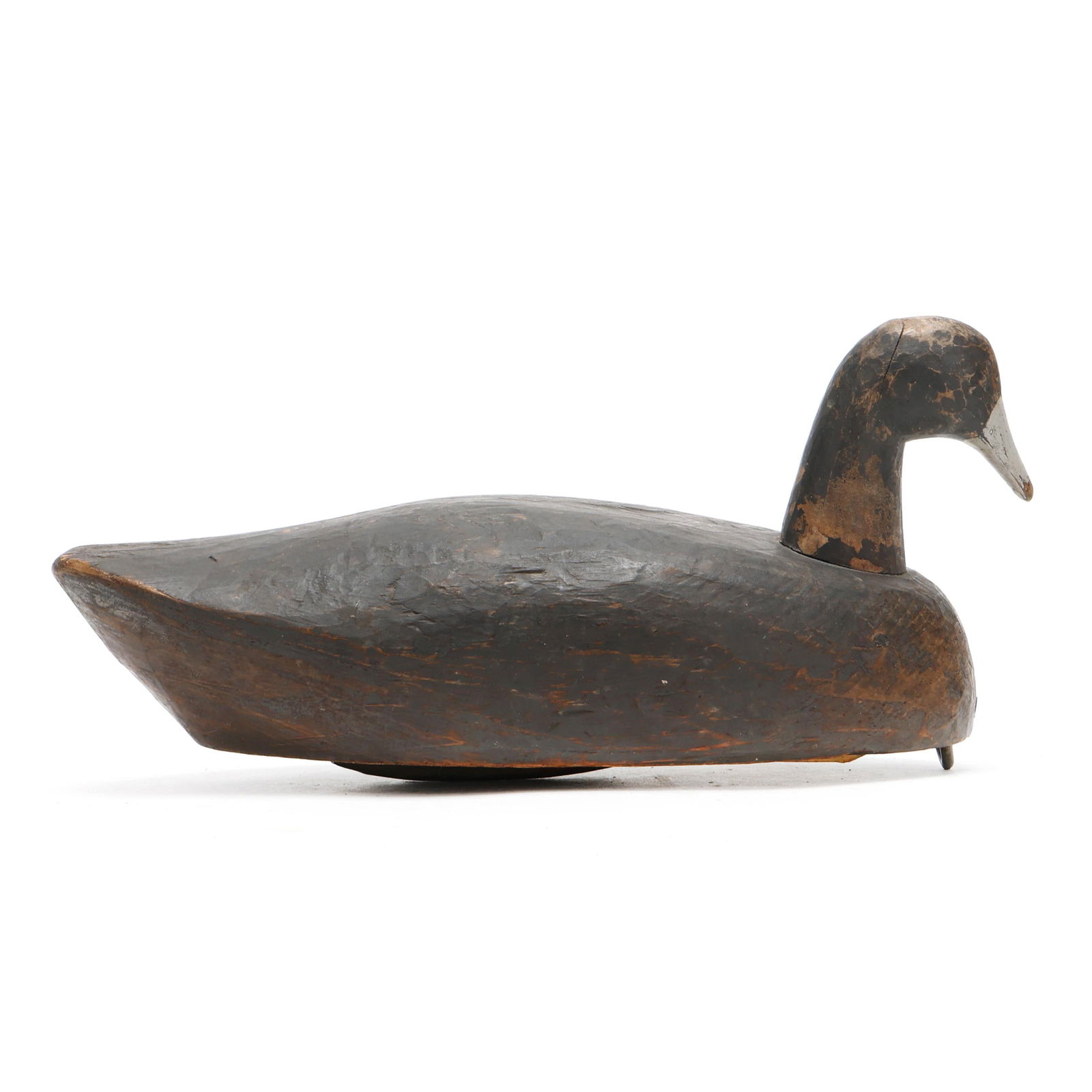 Allen Tillet (NC, 1906-1981), Roothead Coot (1 of 8)