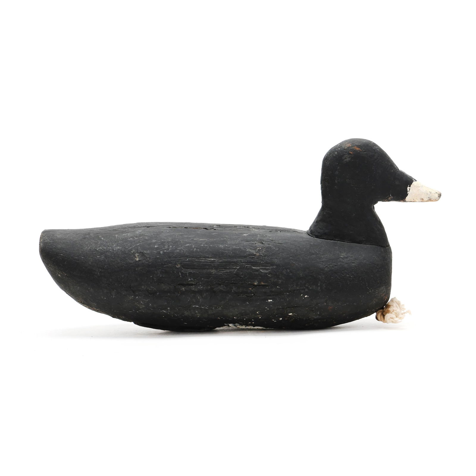 Buck Allen (NC), Coot (1 of 8)