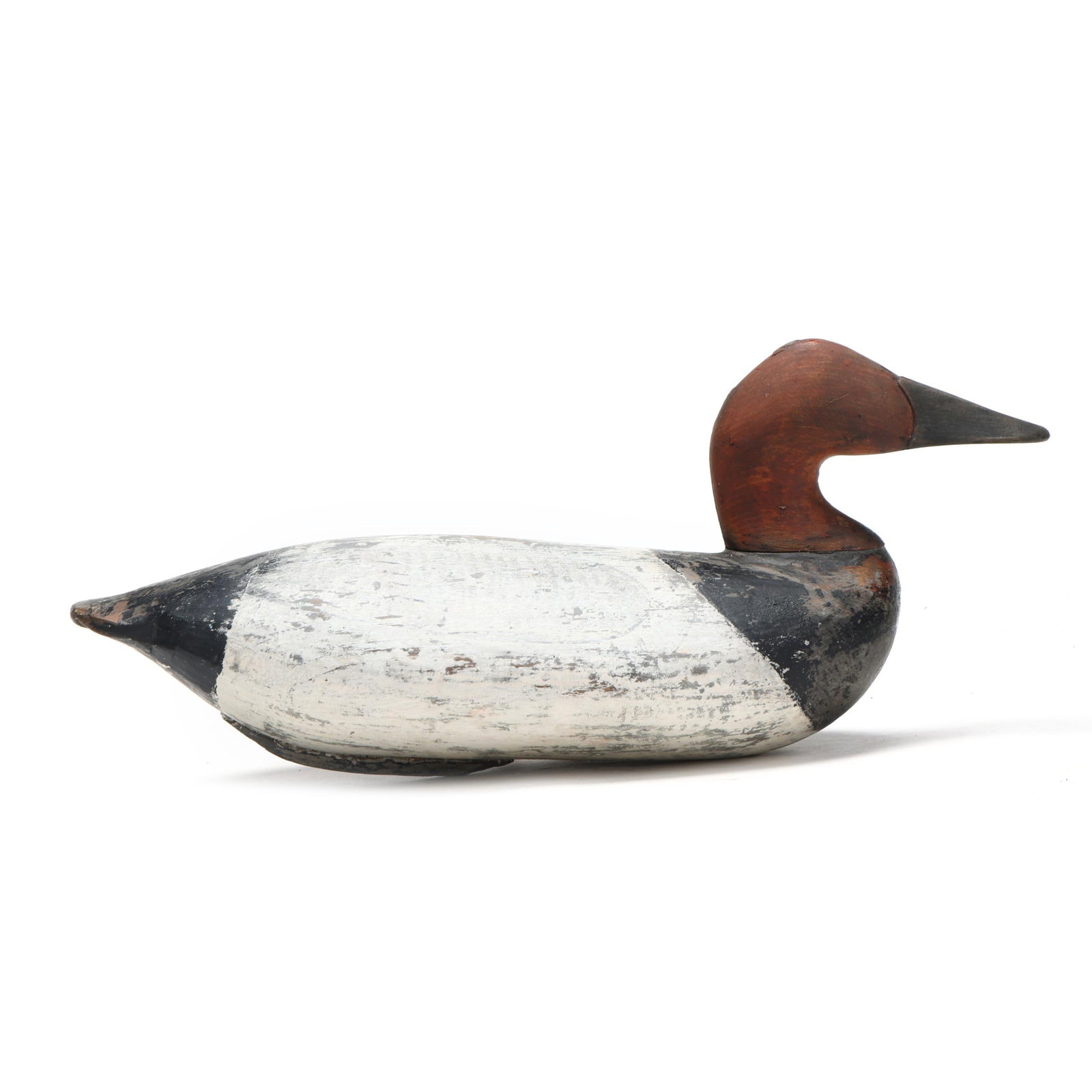 Unknown Upper Bay Canvasback (1 of 8)