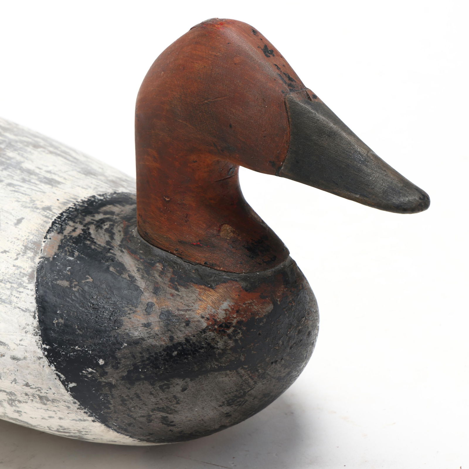 Unknown Upper Bay Canvasback - 4