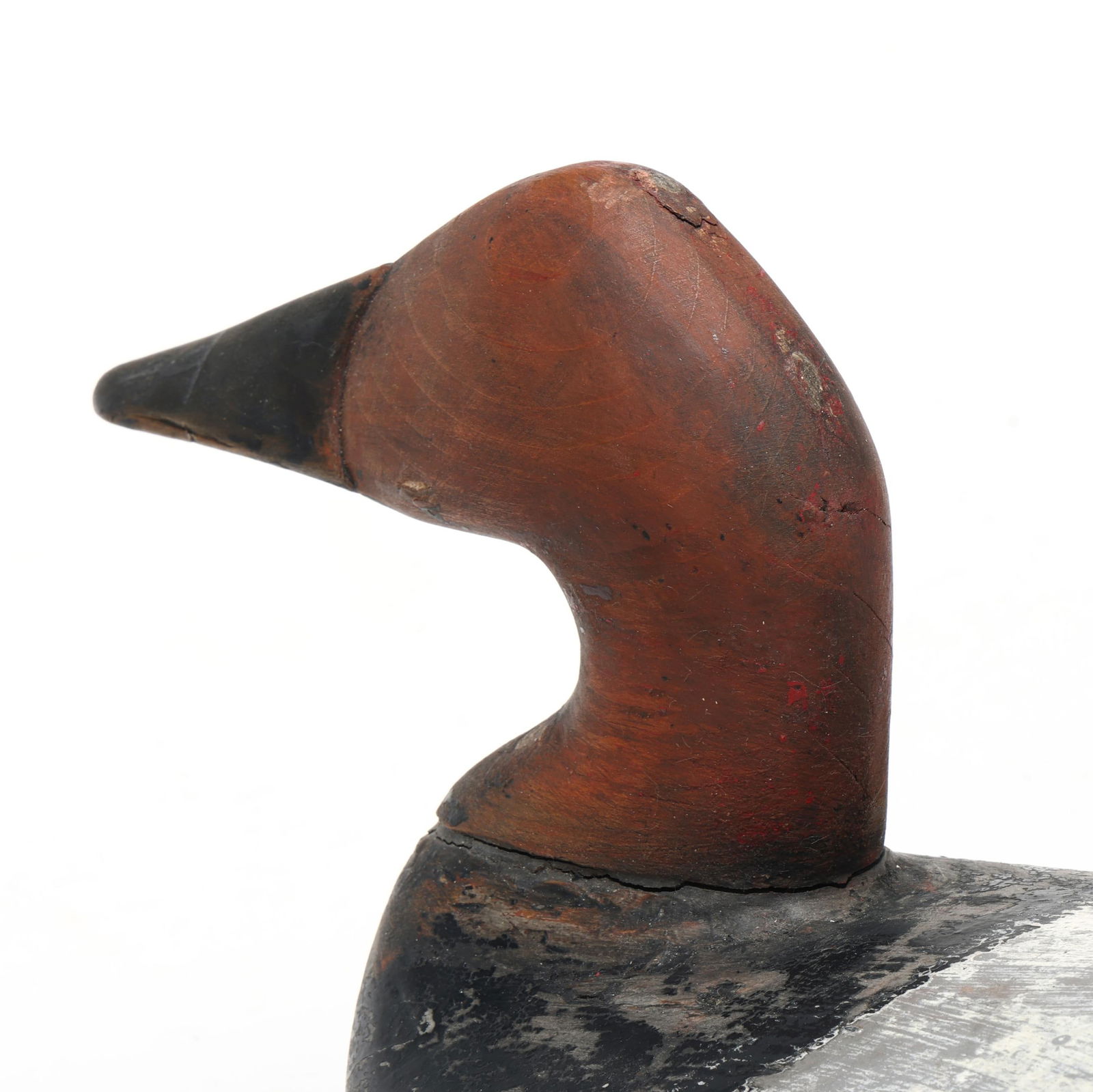 Unknown Upper Bay Canvasback - 5