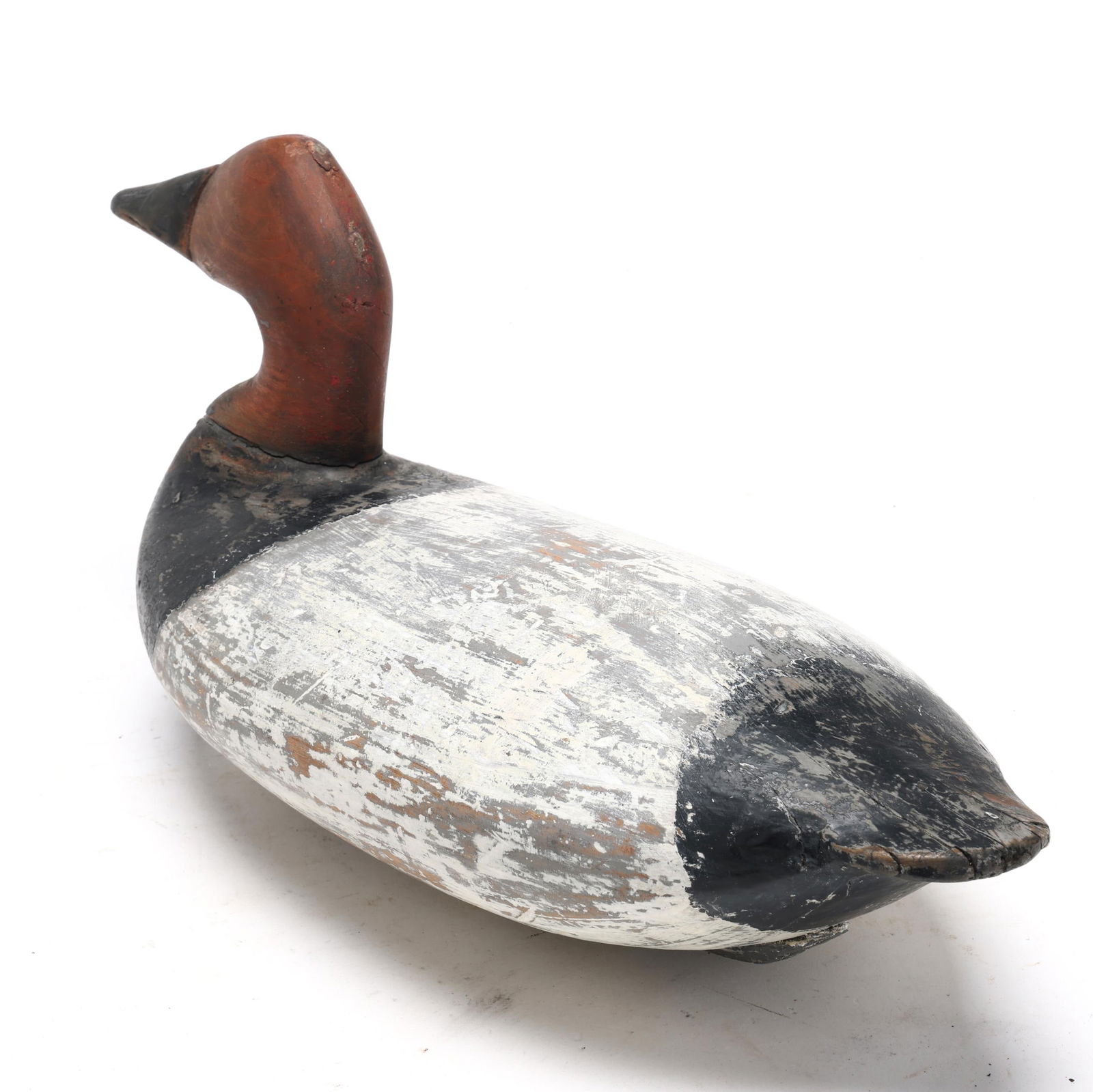 Unknown Upper Bay Canvasback - 6