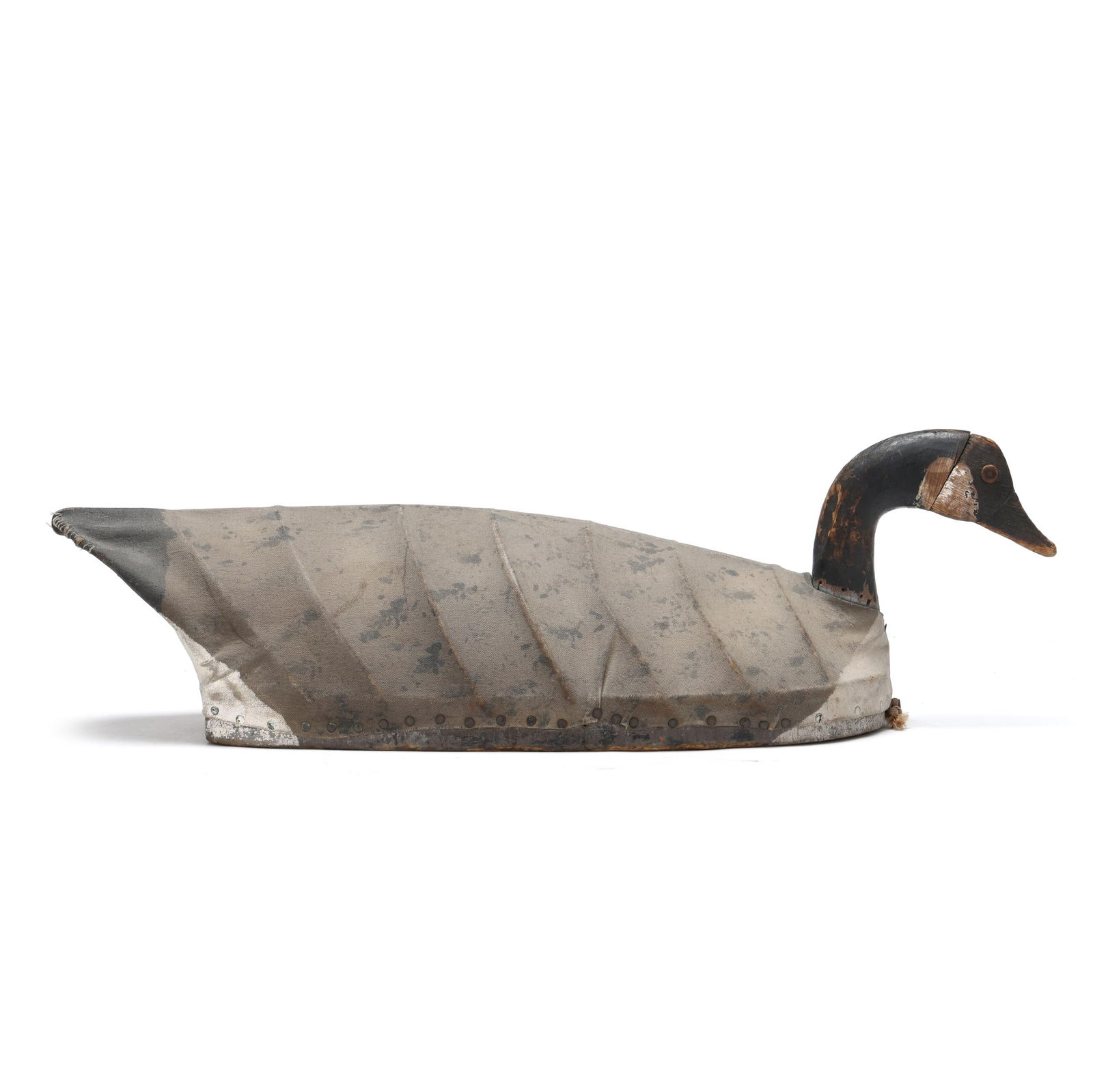 Unknown Upper Bay Canvasback - 8