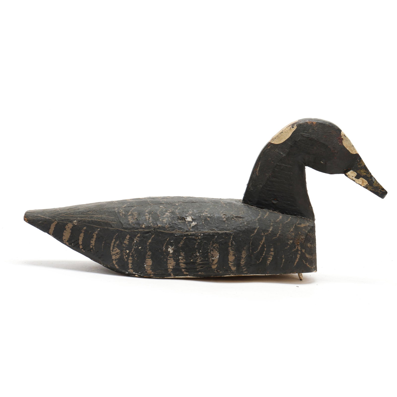 Early Surf Scoter (1 of 7)