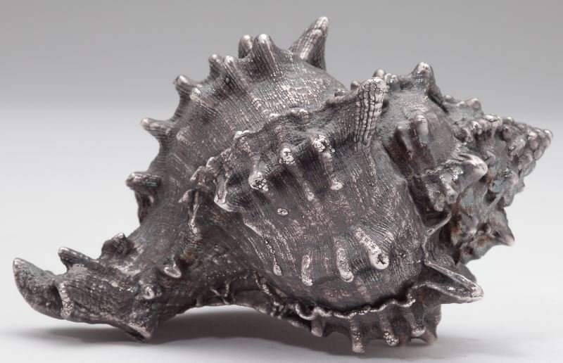 Silver-Coated Conch Shell, Buccellati: Silver-Coated Conch Shell, BuccellatiItalian, silver-coated over a conch shell form with the mark of Federico Buccellati, Milan.2.5 x 4.5 in.Estate of a Lady, Washington, D.C.