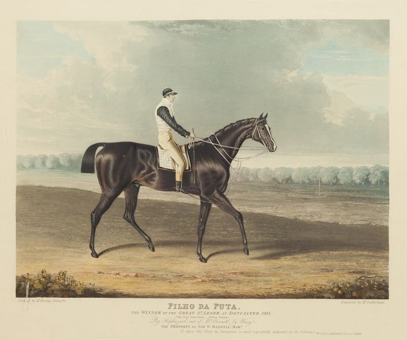 Antique English Aquatint, "Filho da Puta": Antique English Aquatint, "Filho da Puta" engraved by Thomas Sutherland after an original painting by John Frederick Herring, published by W. Sheardown & Son of London, depicting "Filho da Puta / The 