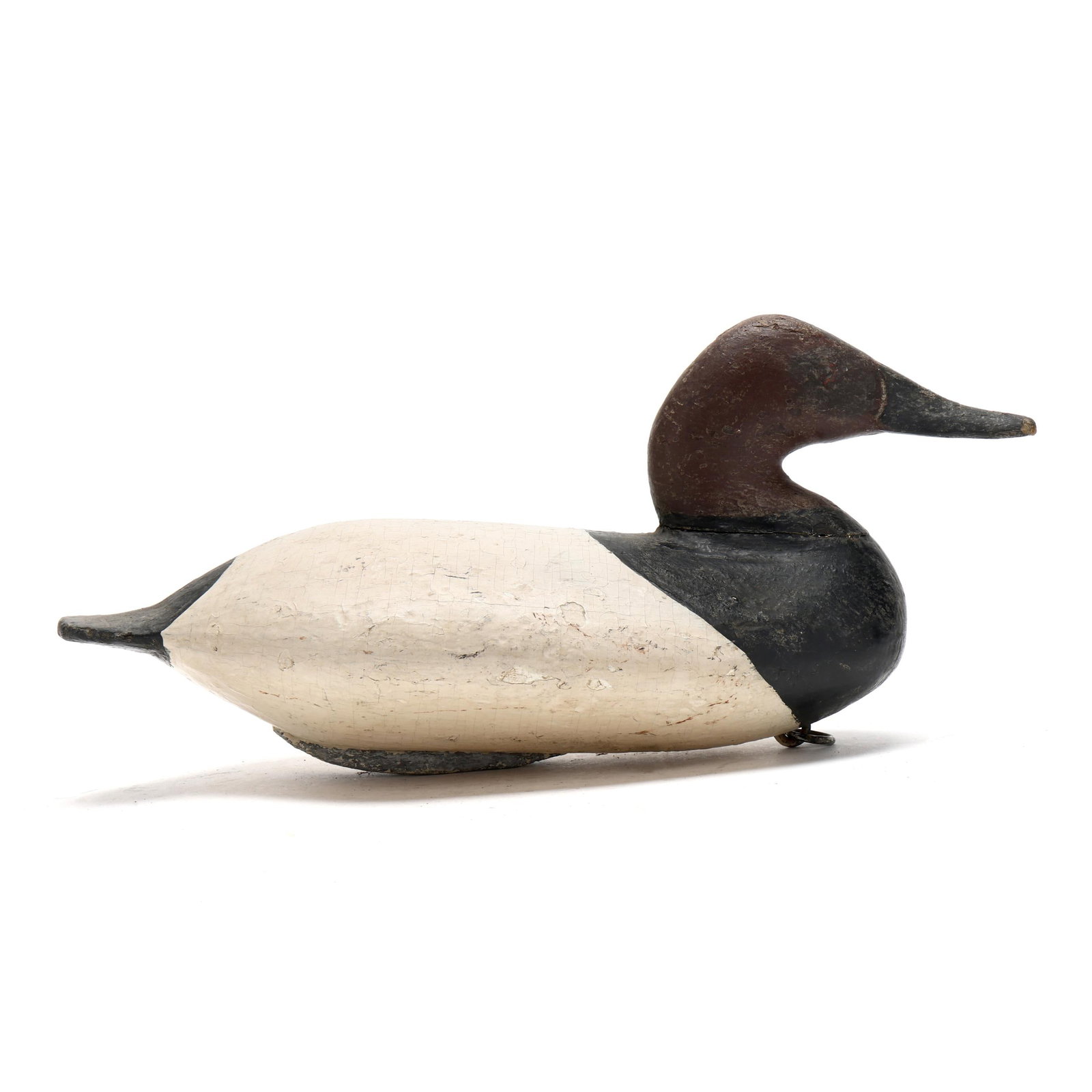 George Washington Barnes (MD, 1862-1915), Canvasback (1 of 8)