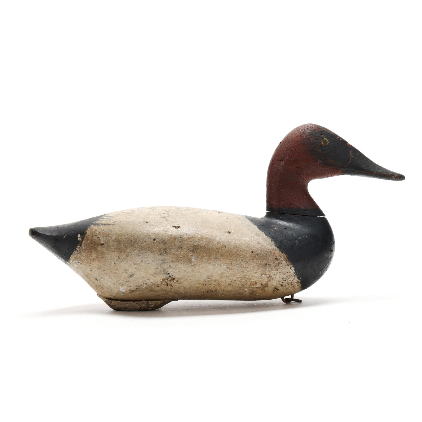 Edwin Pearson (MD, 1863-1932), Canvasback (1 of 7)