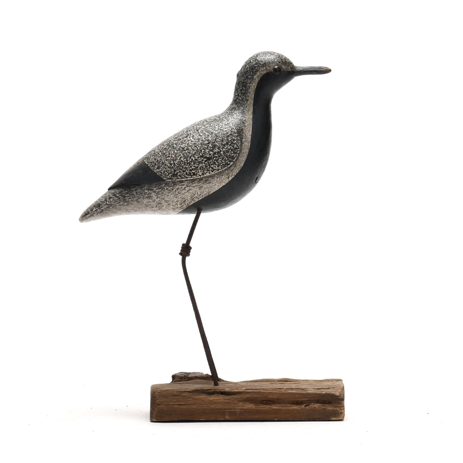 Quality Contemporary Black Bellied Plover (1 of 9)