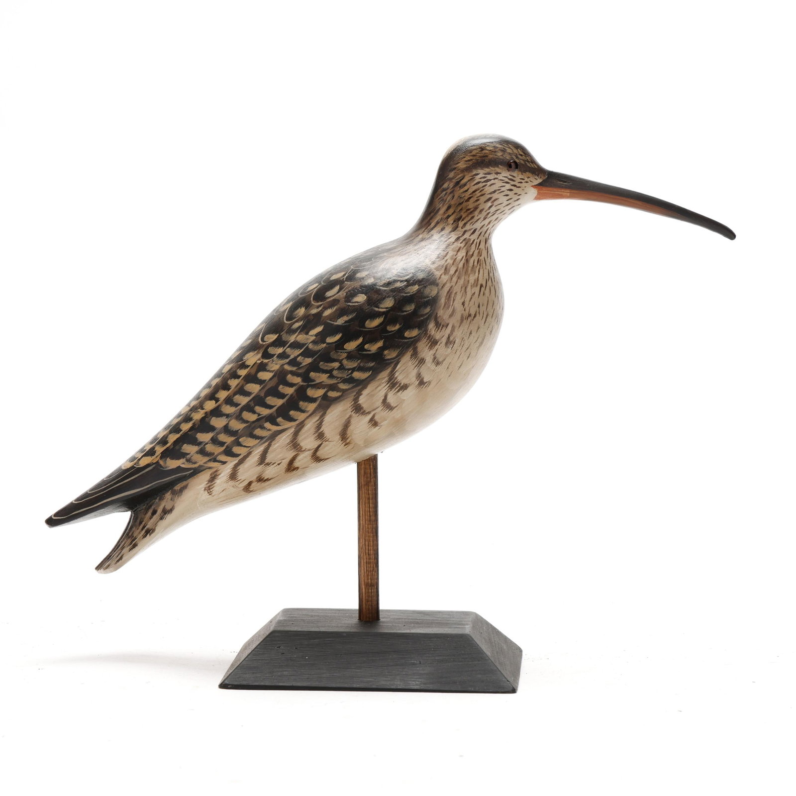 George Strunk (NJ, b. 1958), Curlew (1 of 9)