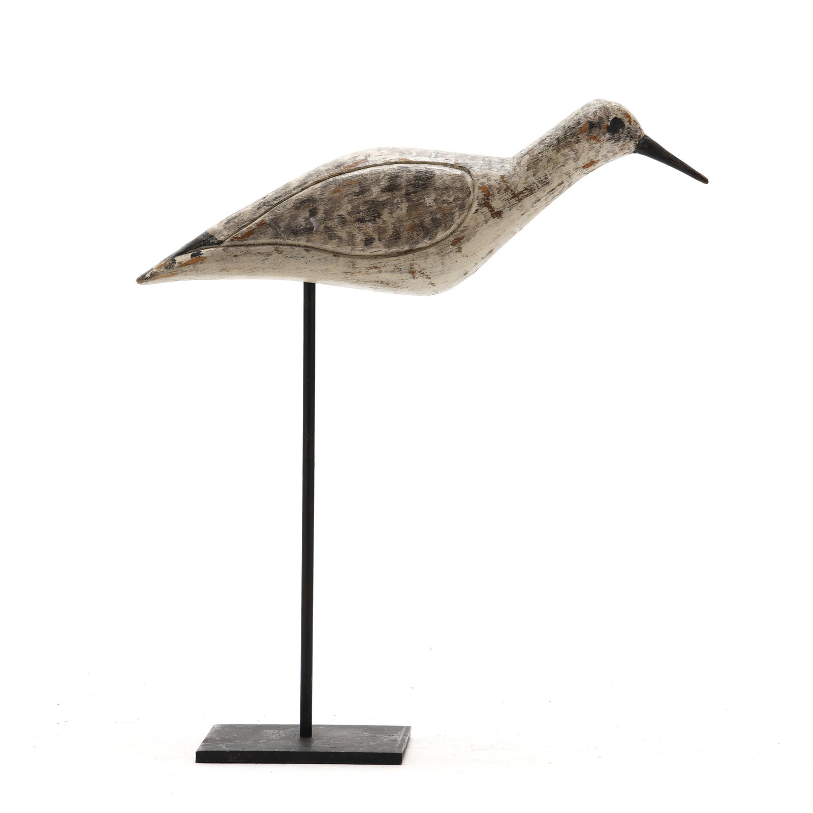 Early Cape Cod Yellowlegs (1 of 7)