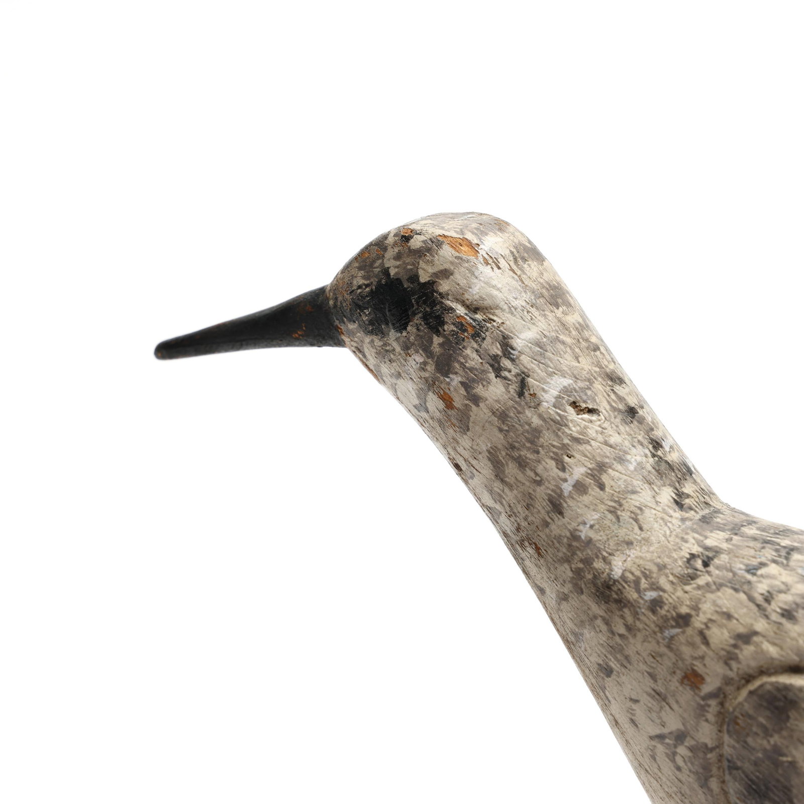 Early Cape Cod Yellowlegs - 5